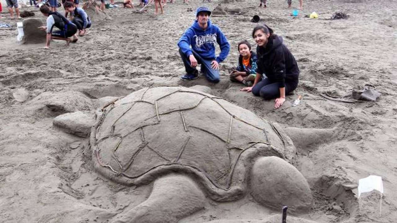 Песчаная черепаха онлайн-пазл