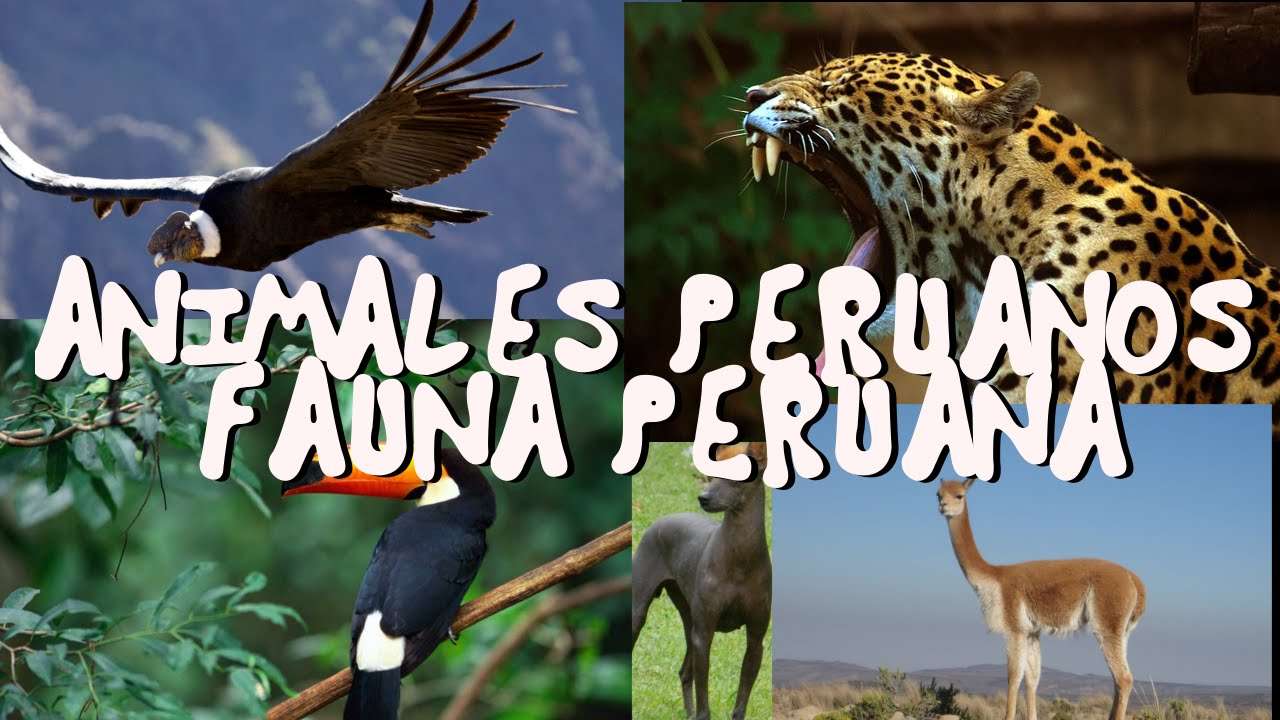 ANIMALS IN DANGER OF EXTINCTION PERU online puzzle