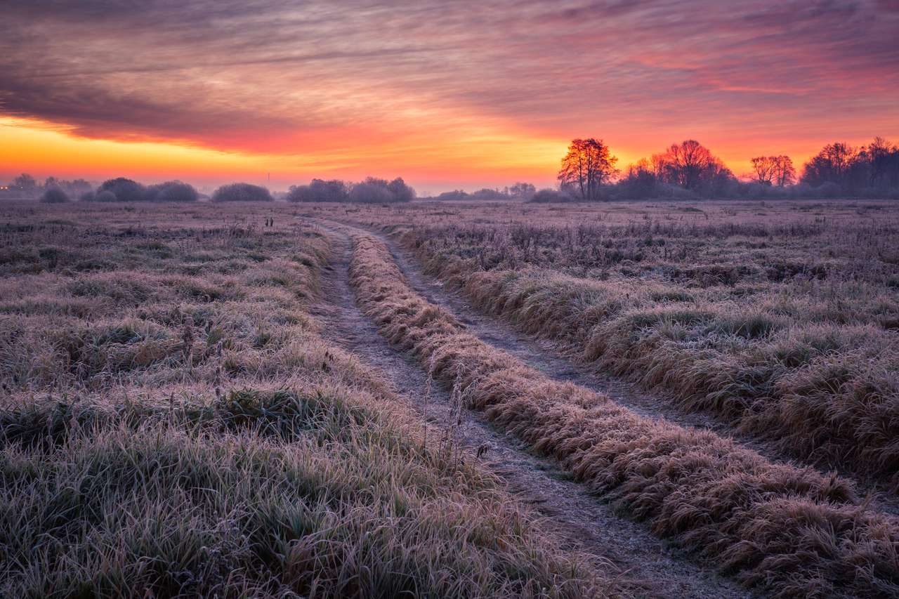 Road during a frosty morning puzzle online from photo