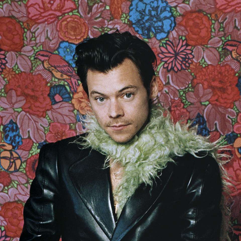 Harry Styles puzzle online from photo