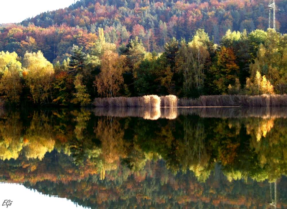 Autumn water level puzzle online from photo