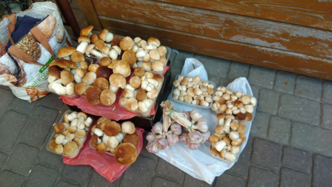 Mushrooming puzzle online from photo