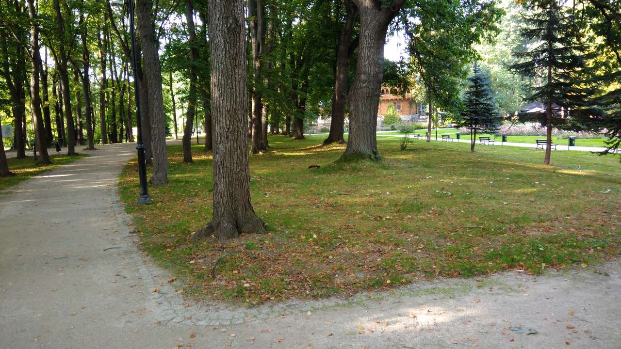 Πάρκο στο Cieplice παζλ online από φωτογραφία