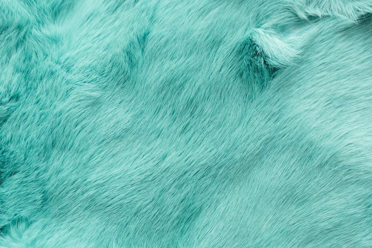 Turquoise dyed rabbit fur puzzle online from photo