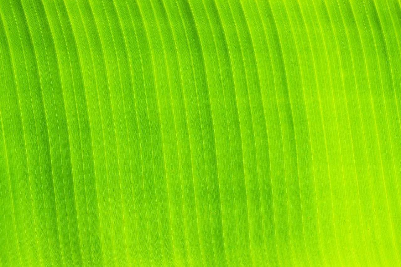 Green leaf online puzzle