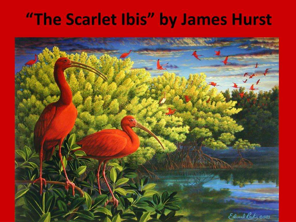 Scarlet Ibis puzzel online van foto