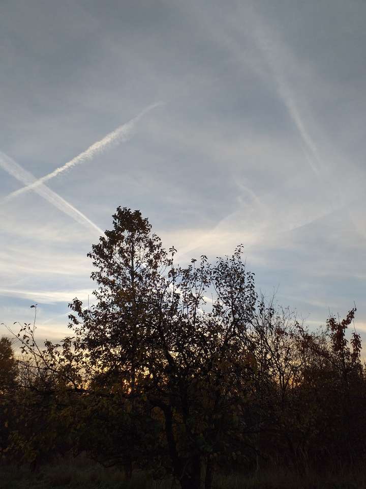 Himlen på morgonen pussel online från foto