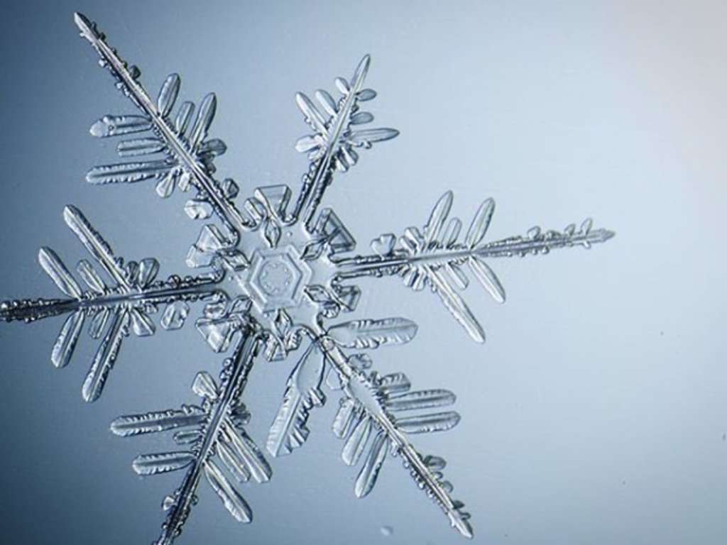 sněhová vločka puzzle online z fotografie