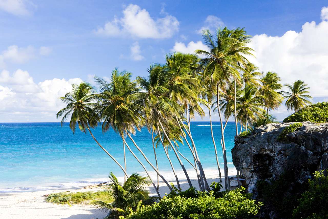 Bottom Bay, Barbados, Caribbean online puzzle