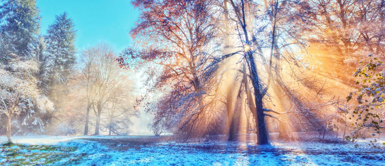 Mooie ochtendzonstralen in het winterbos met verbazende zonnestralen in mist puzzel online van foto