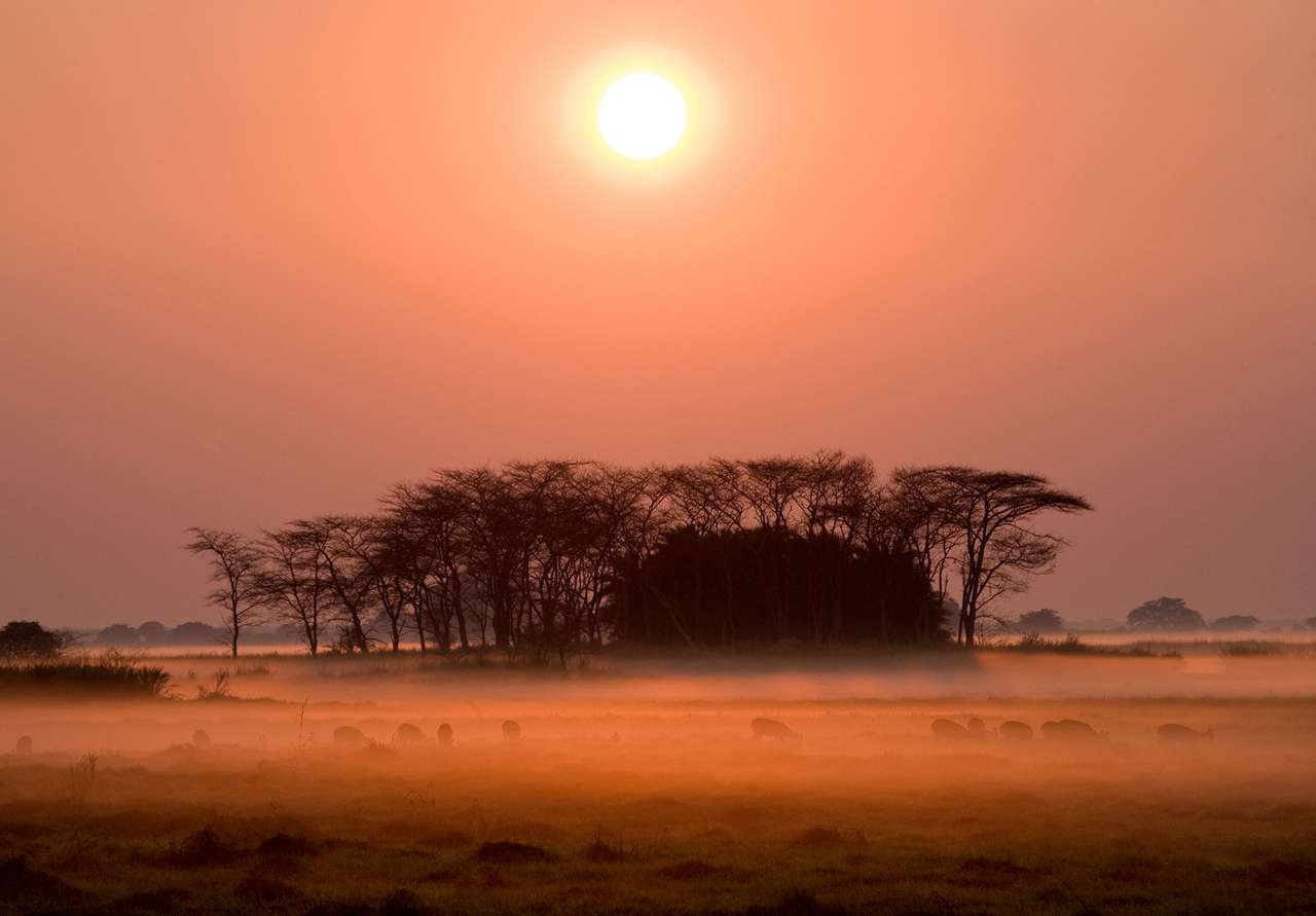 Ανατολή του ηλίου στο εθνικό πάρκο Kafue παζλ online από φωτογραφία
