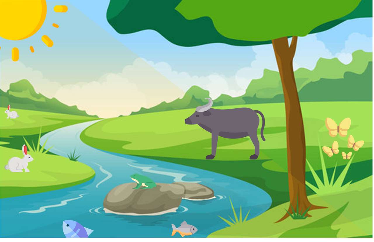 Flussökosystem Online-Puzzle vom Foto