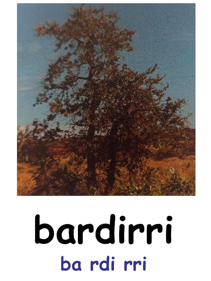 bardirri online puzzle