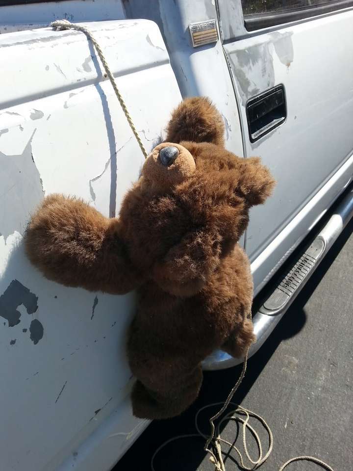 hängande nallebjörn pussel online från foto
