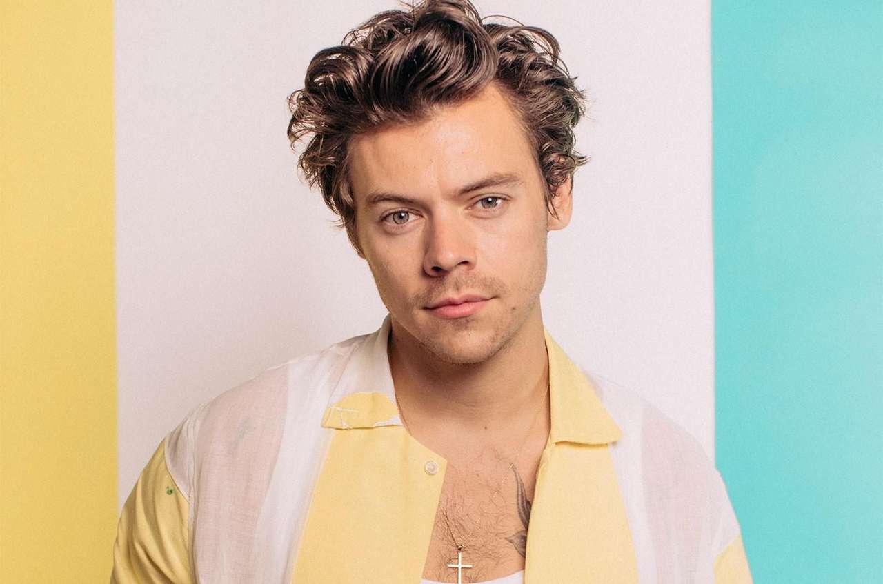 harry styly online puzzle