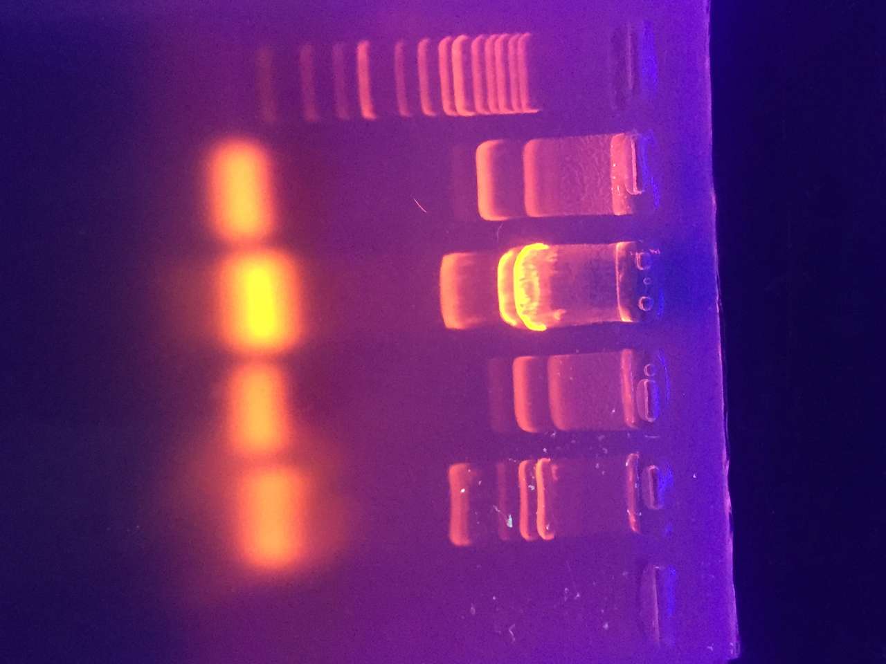 gelová elektroforéza DNA puzzle online z fotografie