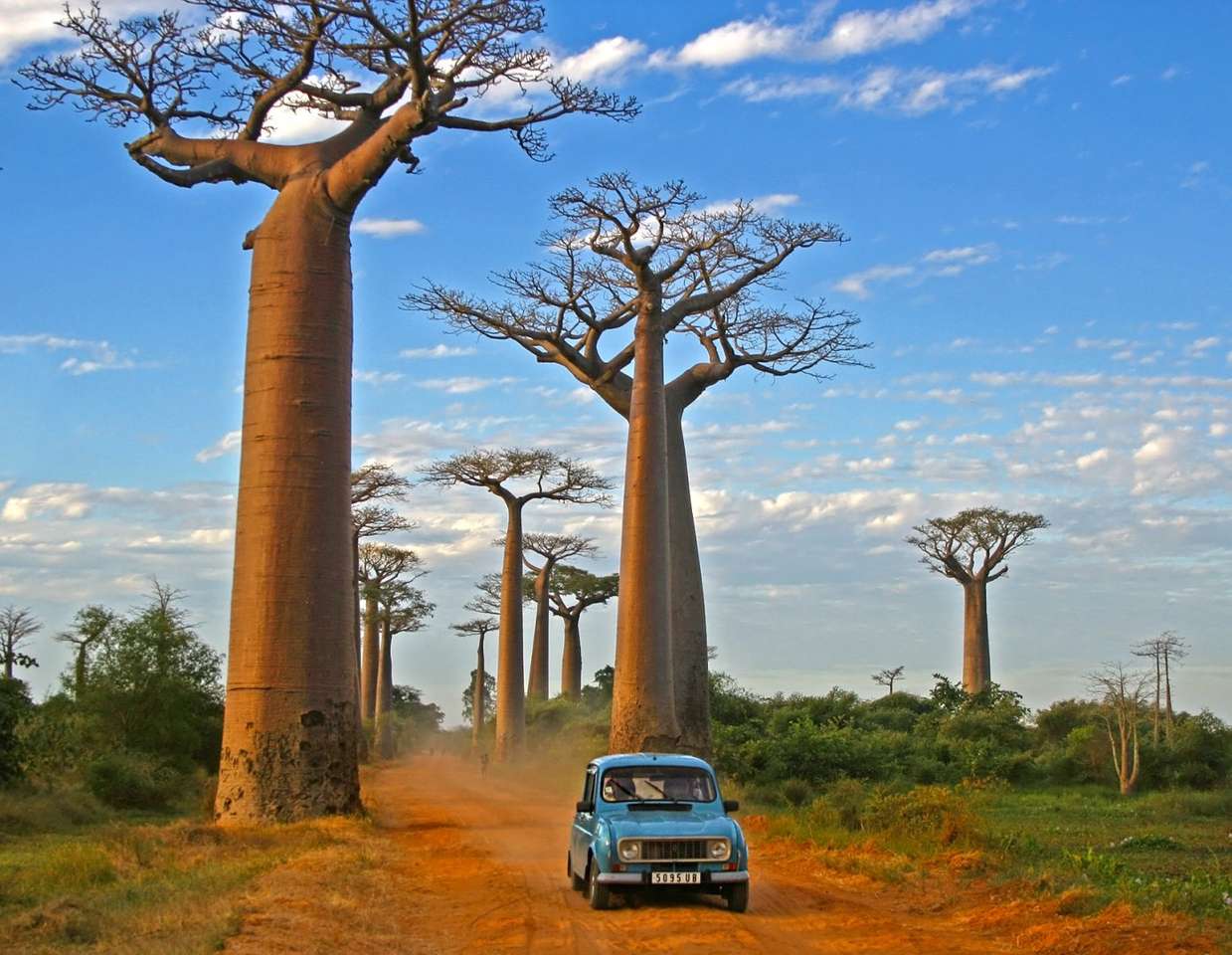 Μαδαγασκάρη παζλ online από φωτογραφία