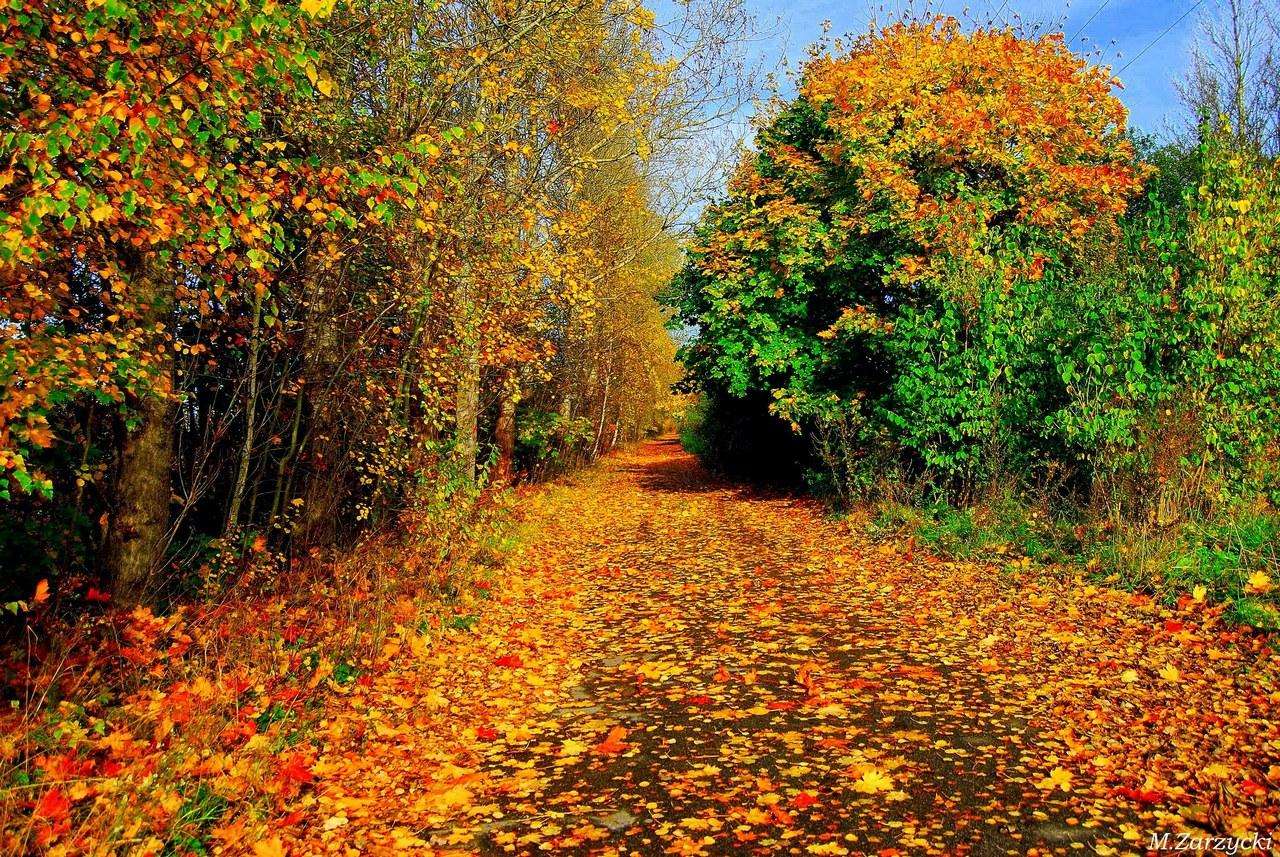 ゴールドの秋 写真からオンラインパズル