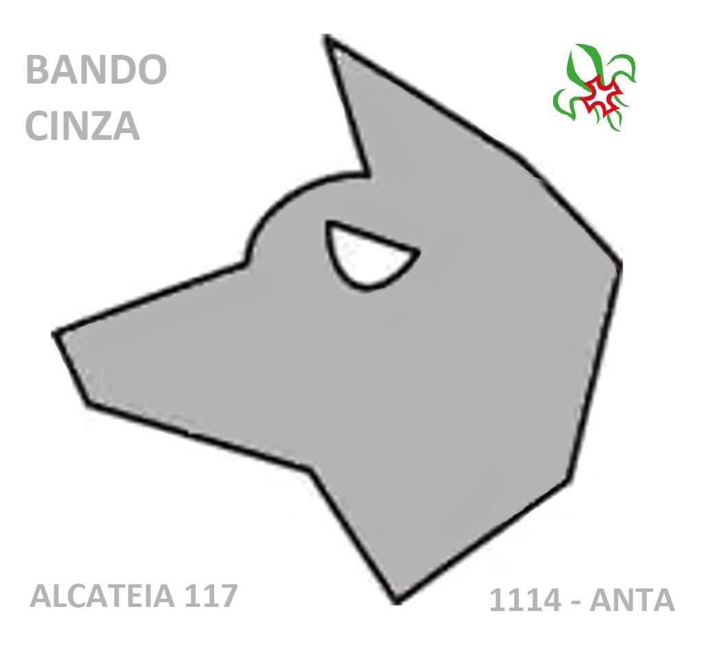 bandocinza puzzle online from photo
