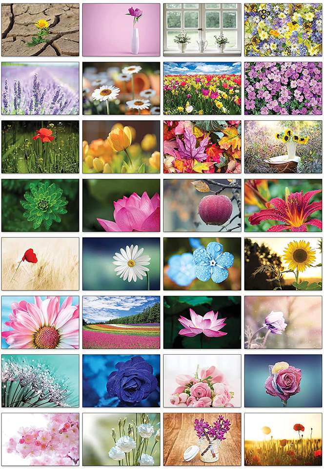 Floral puzzle online from photo