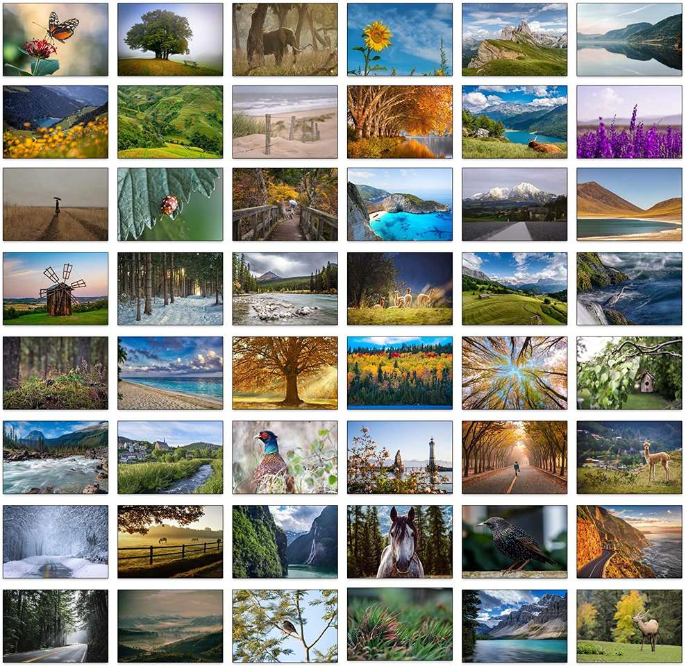 Landscapes online puzzle
