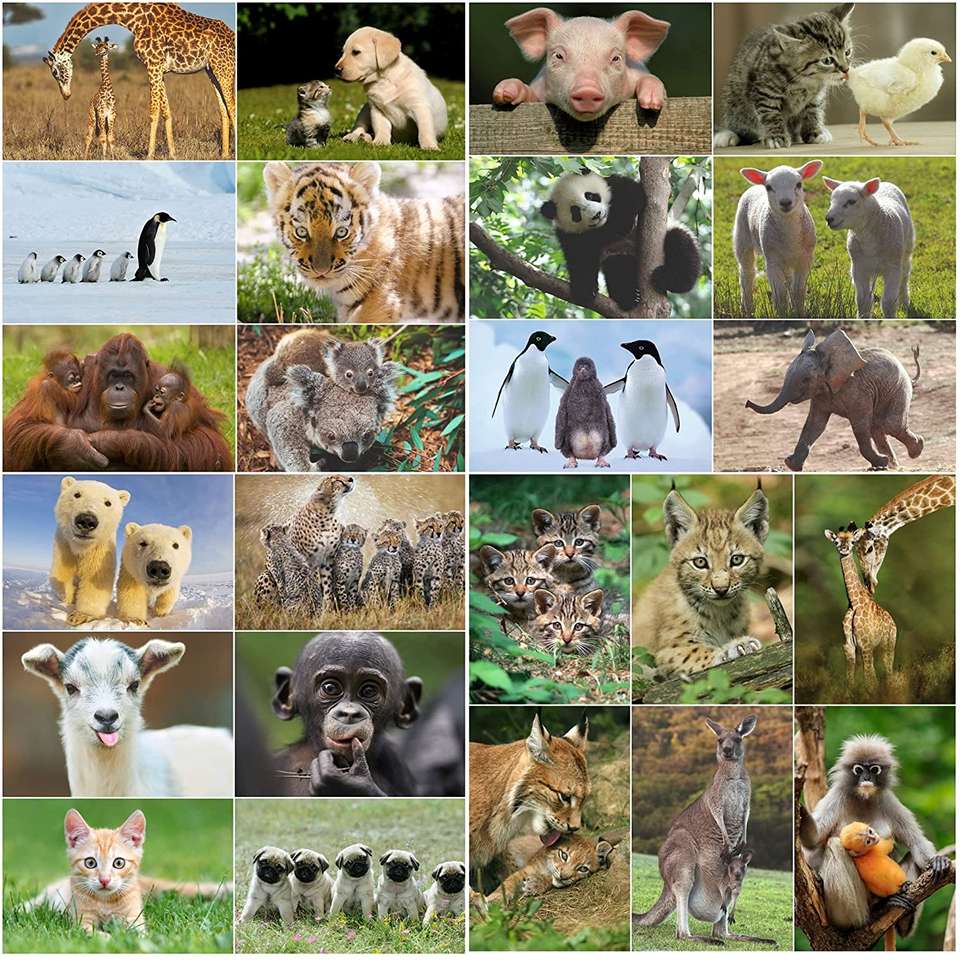 Animais de estimação pequenos e grandes puzzle online