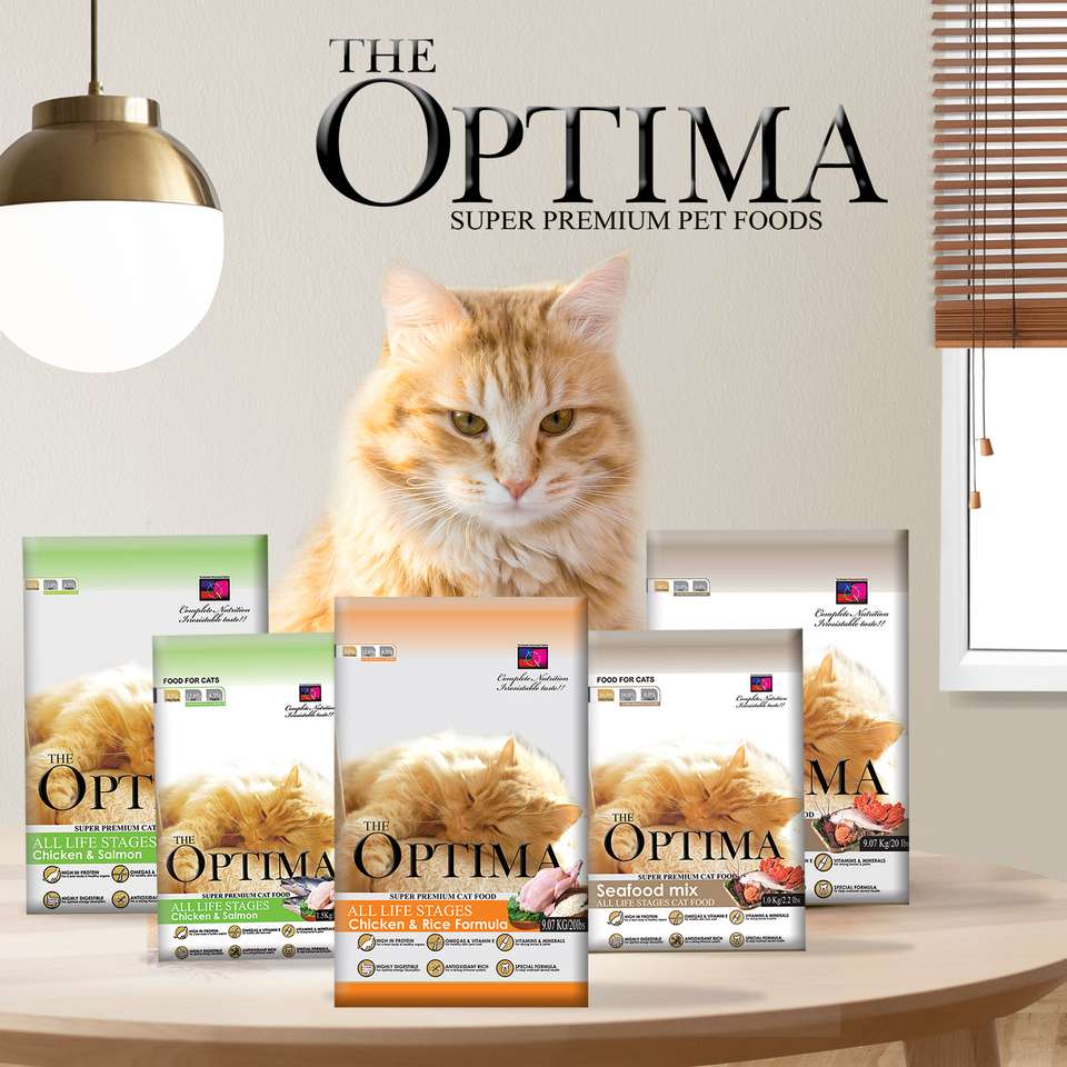 optima cat fod puzzle online from photo