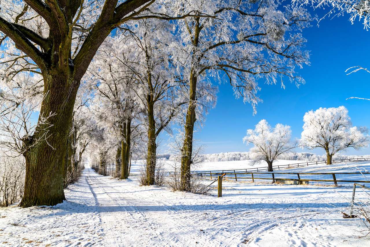 snowy landscape in winter in Masuria puzzle online from photo