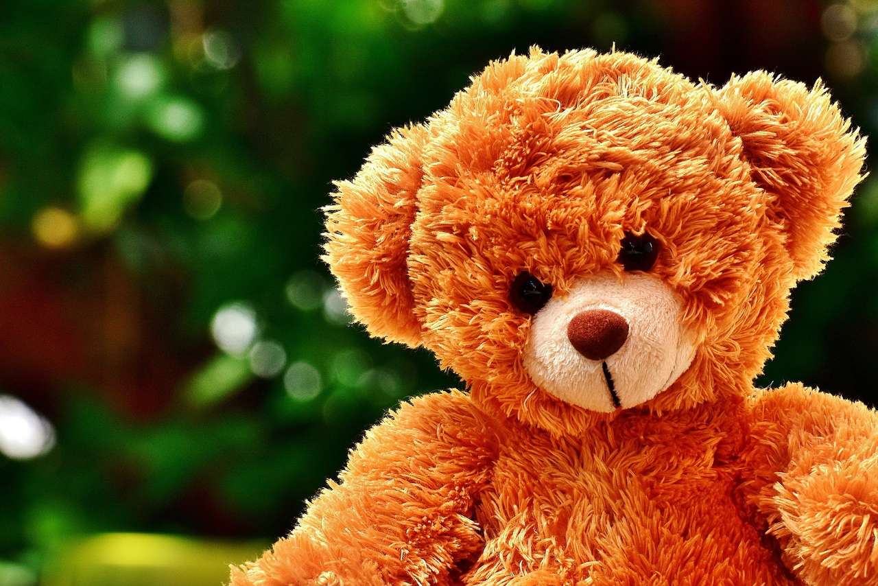 Teddybjörnens dag pussel online från foto