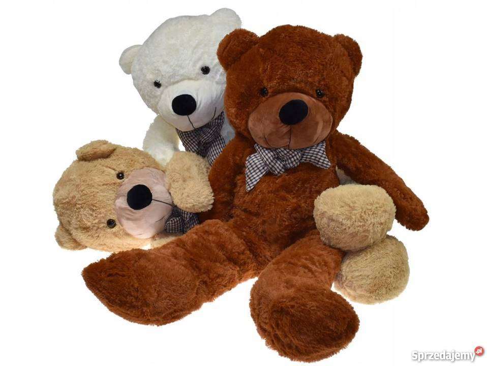 Teddy Bear Day. online puzzle