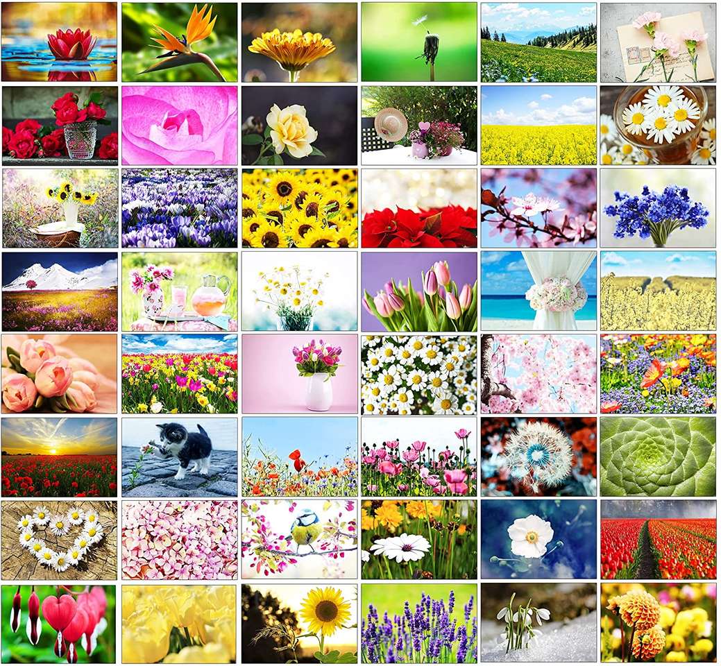 Flower puzzle online from photo
