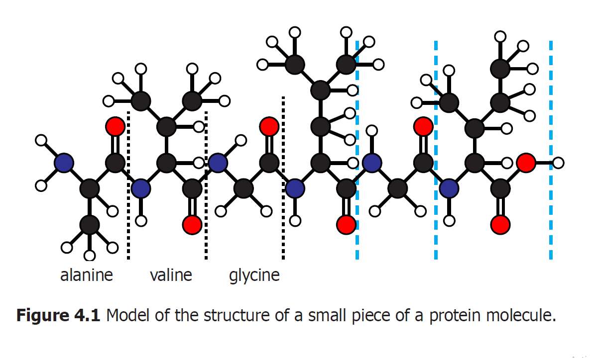 Protein Puz puzzle online