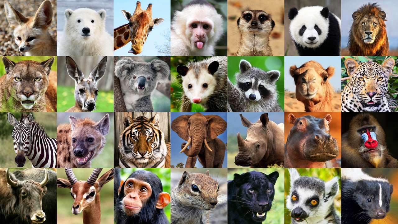 Animale puzzle online din fotografie