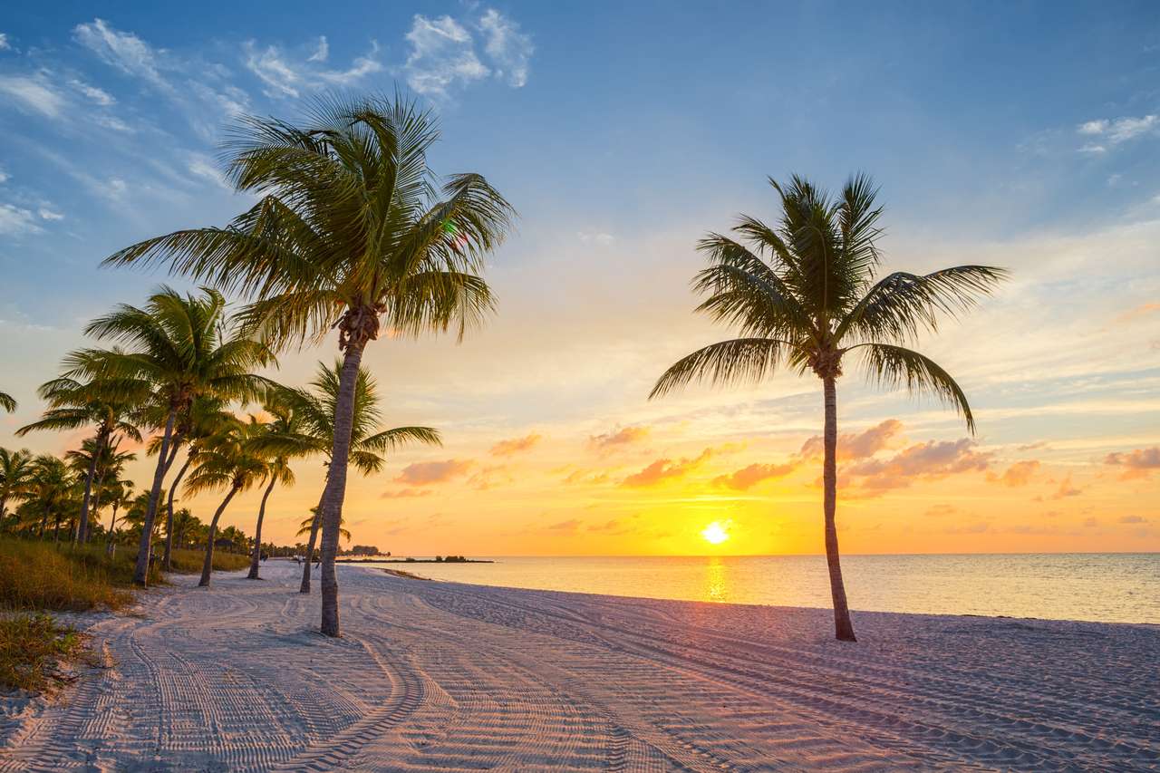 Ανατολή του ηλίου στην παραλία Smathers - Key West, Φλόριντα online παζλ