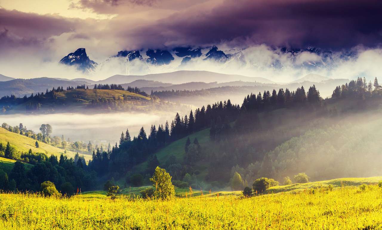 Вид на альпийские луга пазл онлайн из фото