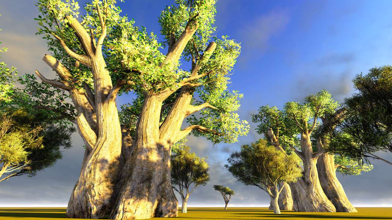 Baobá africano puzzle online a partir de fotografia