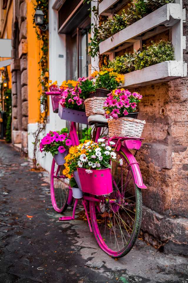 Vue pittoresque sur la rue du Trastevere puzzle en ligne à partir d'une photo