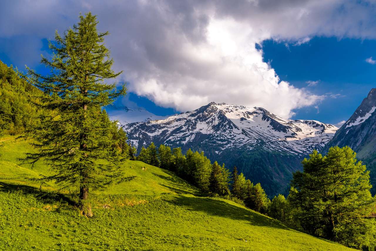 Alpengebergte, Martigny-Combe online puzzel