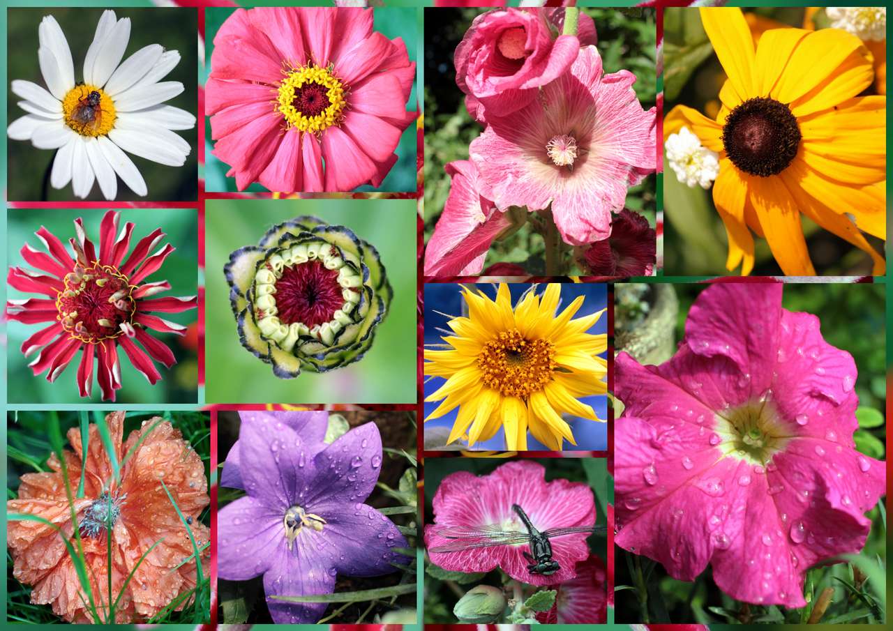 λουλούδια για τη Μπασιά online παζλ