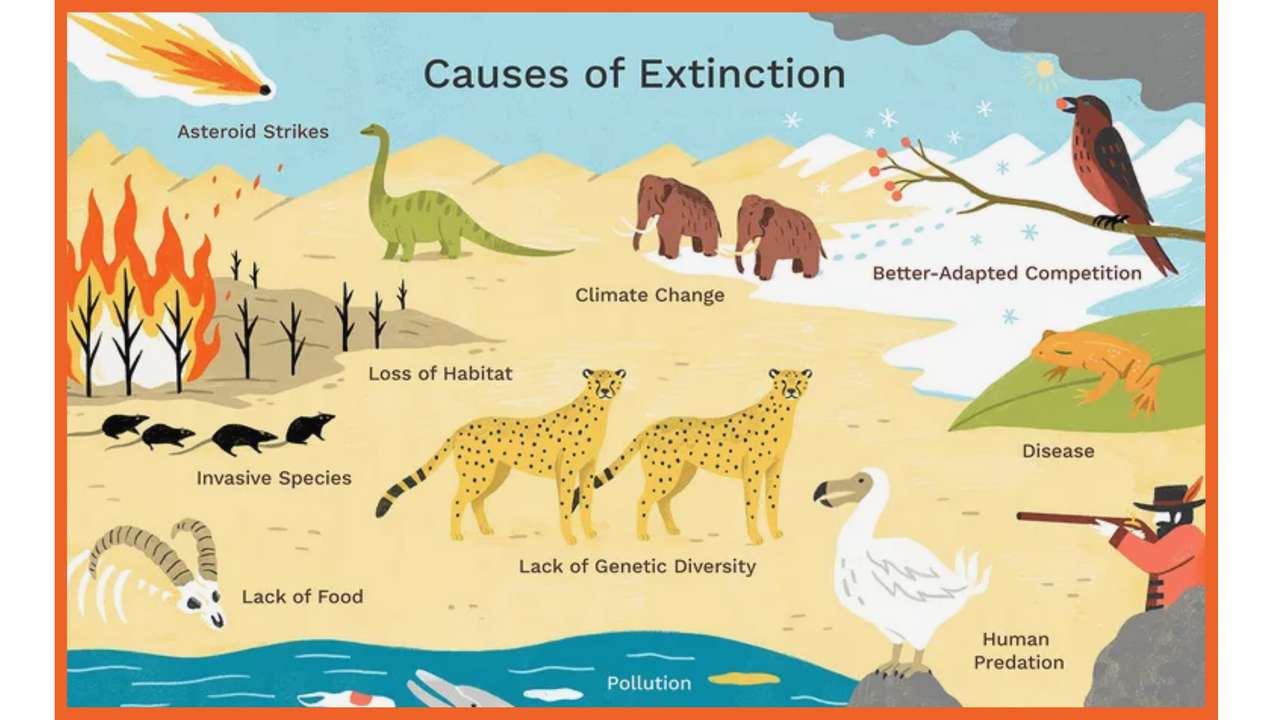 Causes of Extinction online puzzle