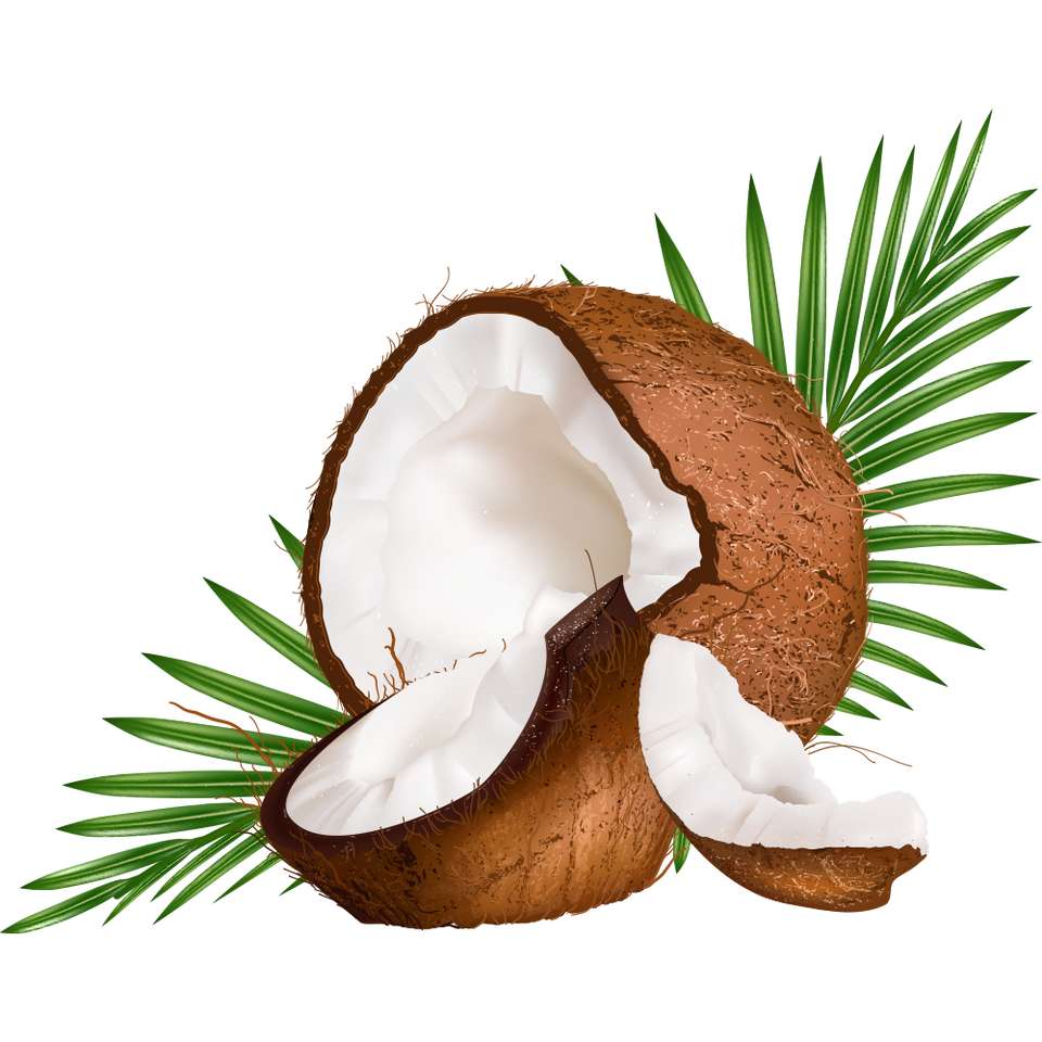 kokosnötter pussel online från foto