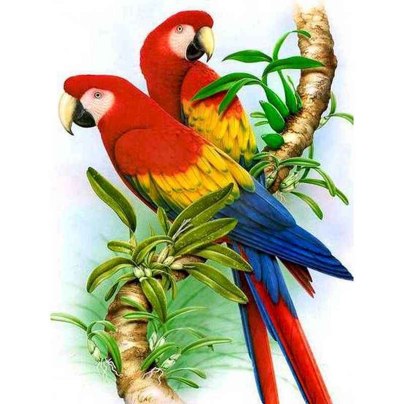 Parrot Puzzle online puzzle
