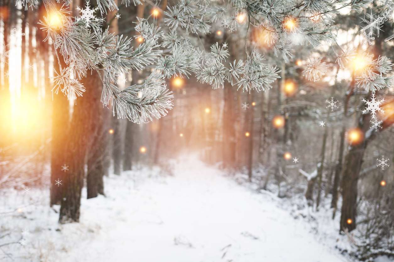 冬のライト 写真からオンラインパズル
