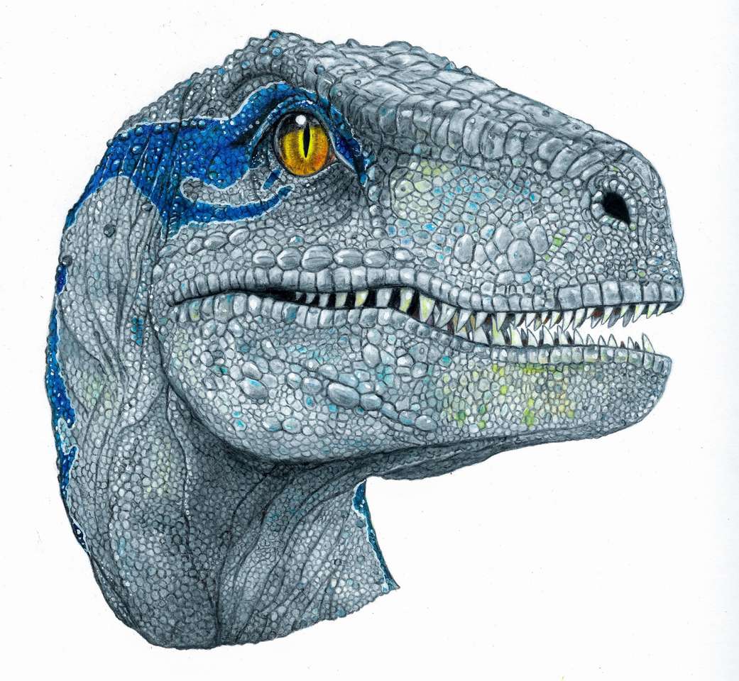 blue raptor puzzle online from photo