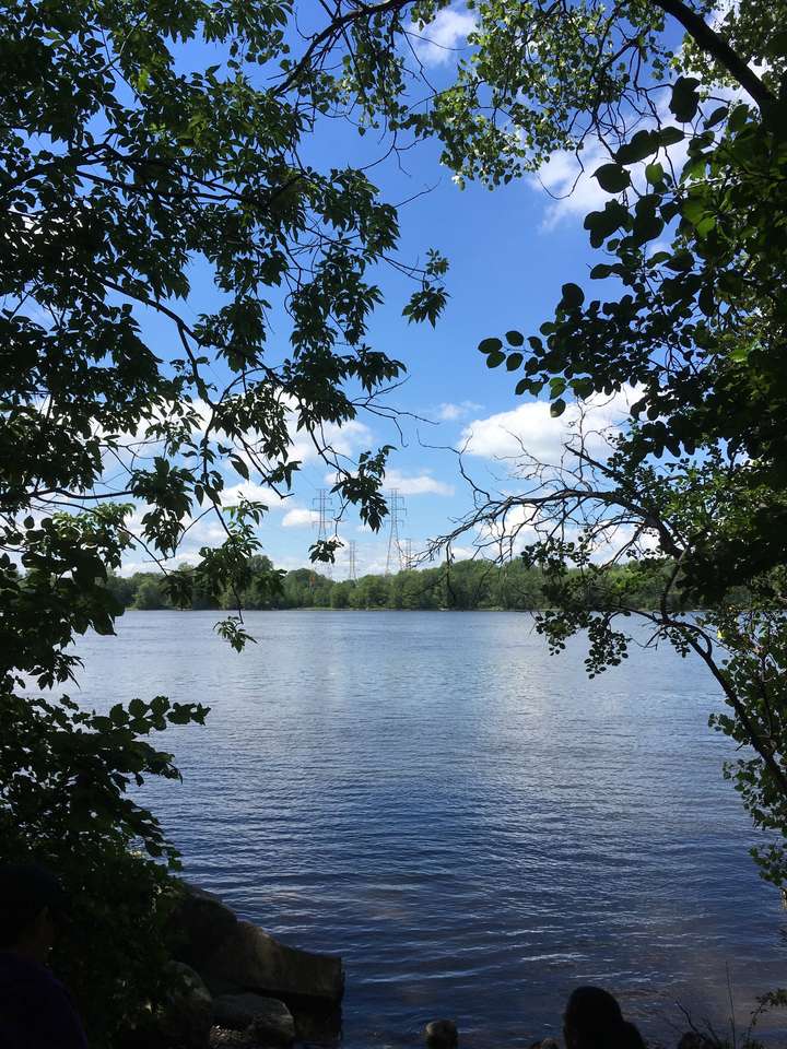 Жанр Lac avec arbres онлайн пазл