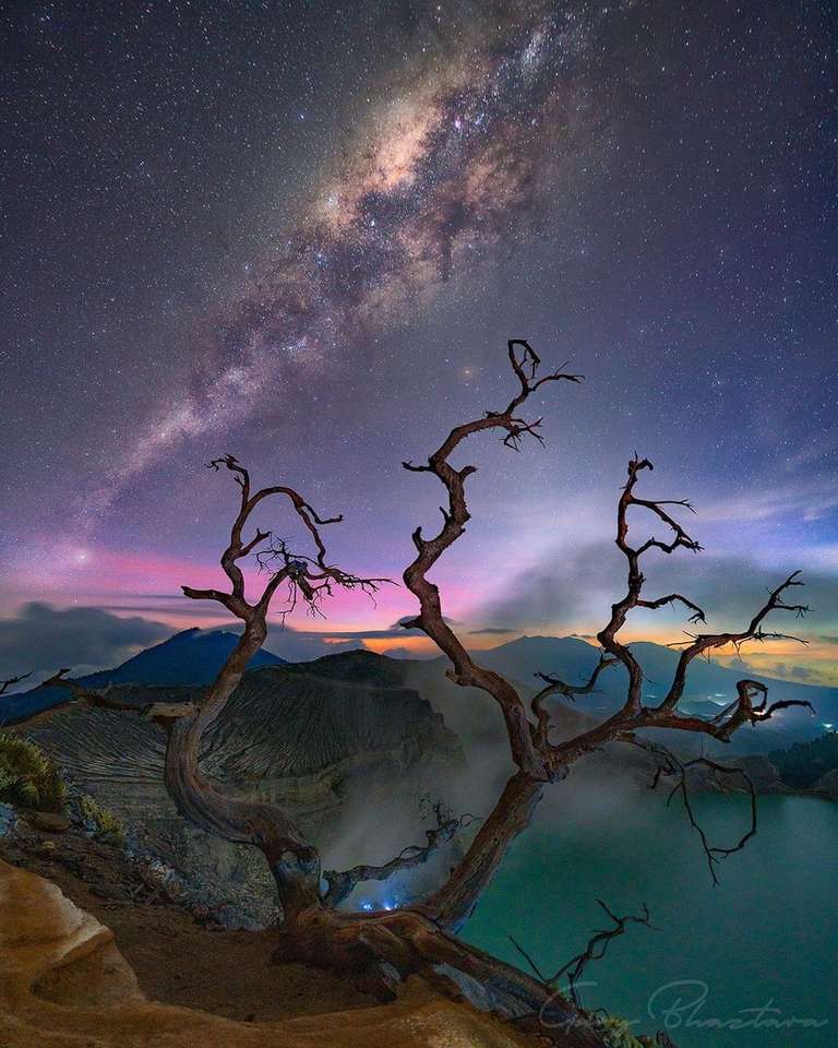 Νυχτερινός ουρανός με δέντρο online παζλ