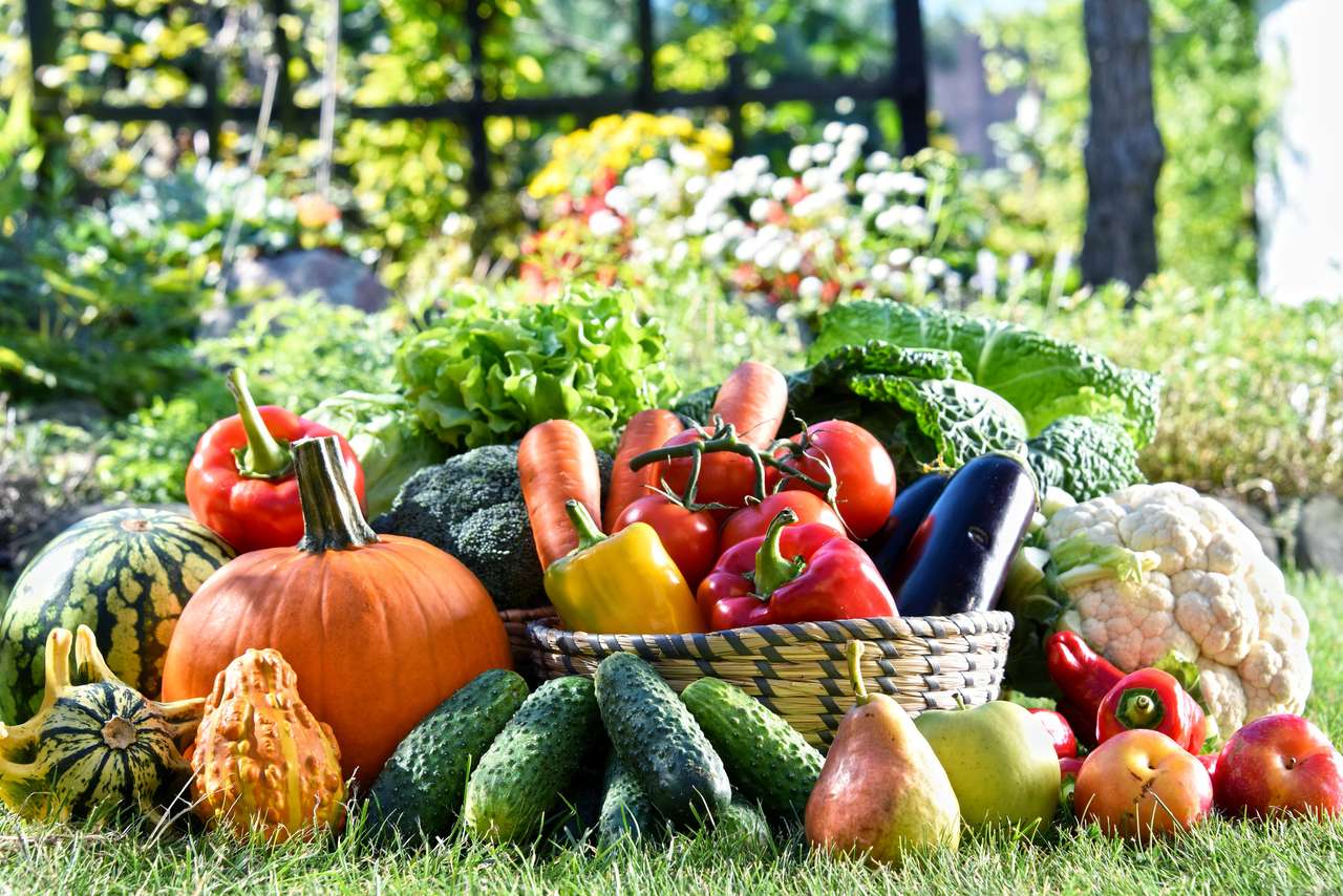 Friss biozöldségek és gyümölcsök puzzle online fotóról