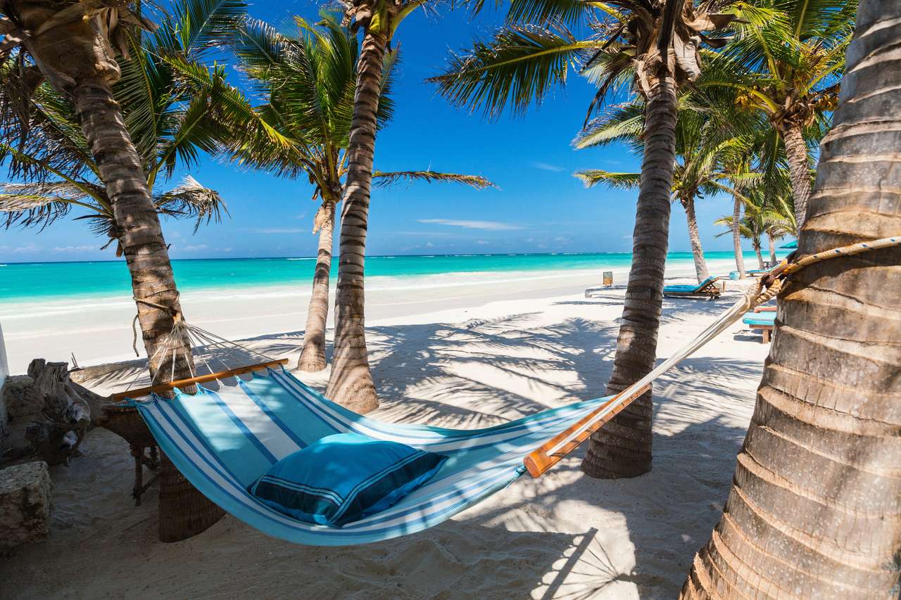Playa tropical perfecta puzzle online a partir de foto
