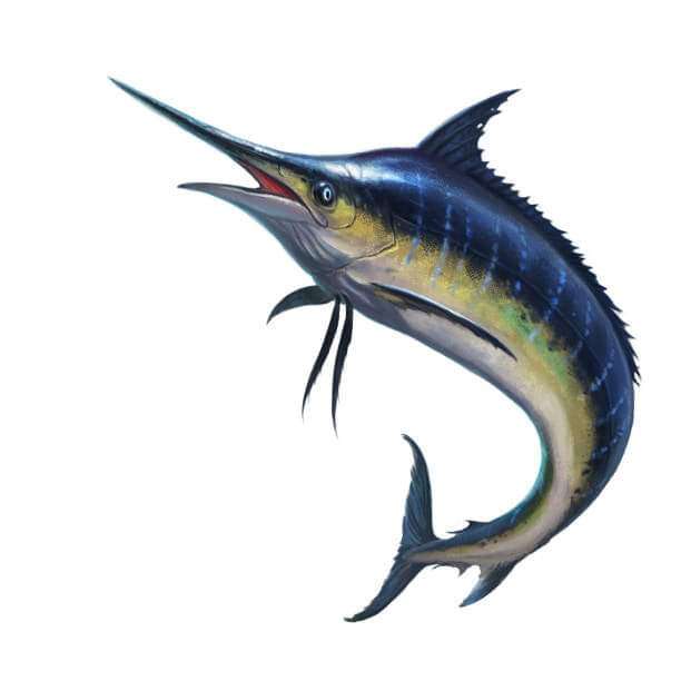 Синя морска риба онлайн пъзел от снимка