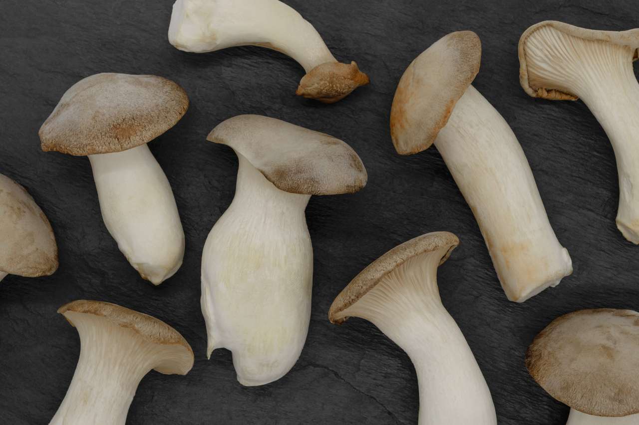 Eringi mushrooms puzzle online from photo
